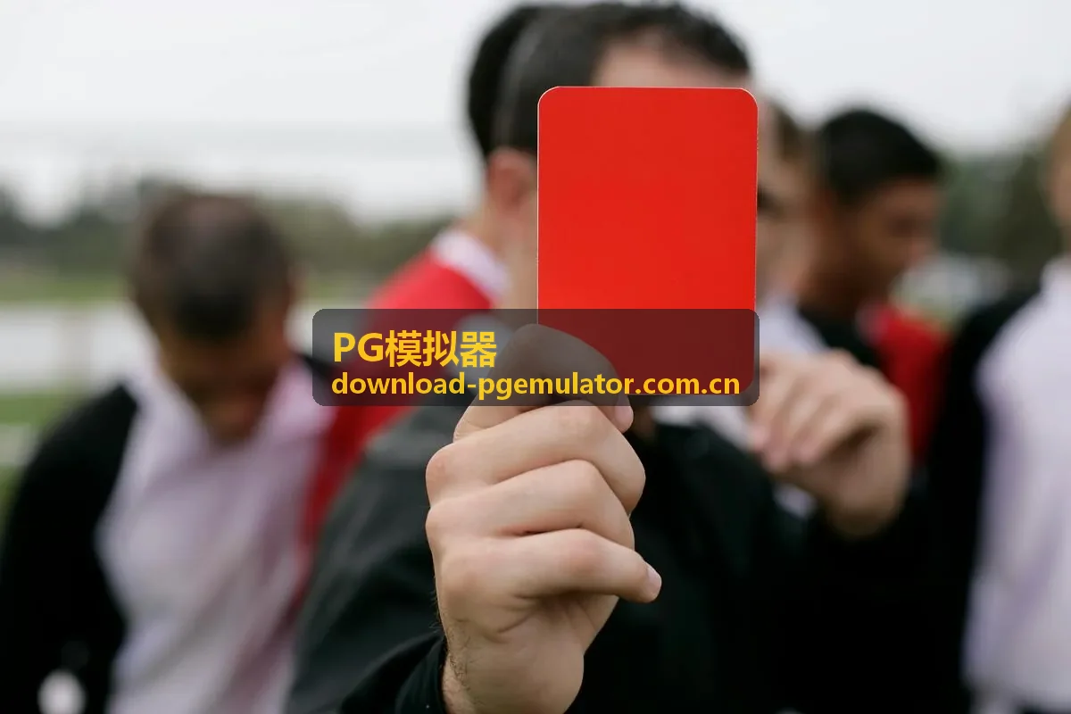 PG模拟器安装配置界面示意图